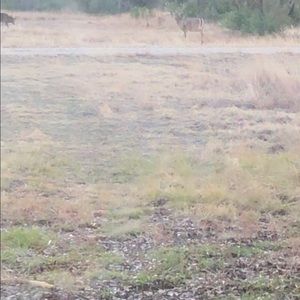 Meet your Posher, Philip